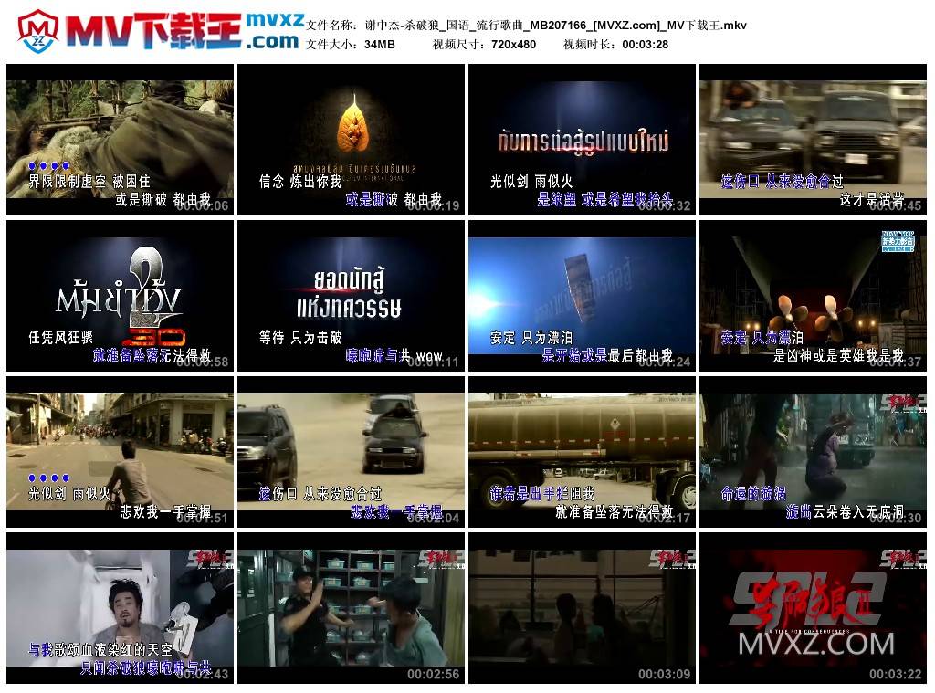 谢中杰-杀破狼_国语_流行歌曲_MB207166